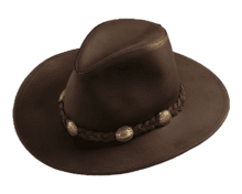 Henschel Dakota Cowhide Western Leather Hat