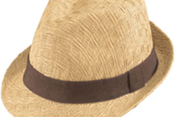 Henschel Lightweight Summer Fedora