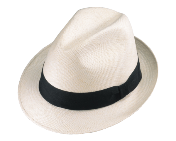 Fashion Fedora Panama Sun Hat