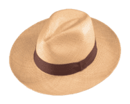 Henschel Panama Hat