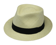 Genuine Panama Sun Hat