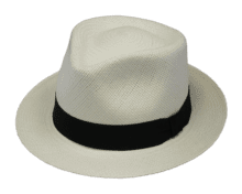 Henschel Panama Trilby Hat