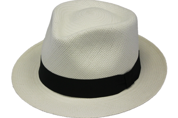 Henschel Panama Trilby Hat