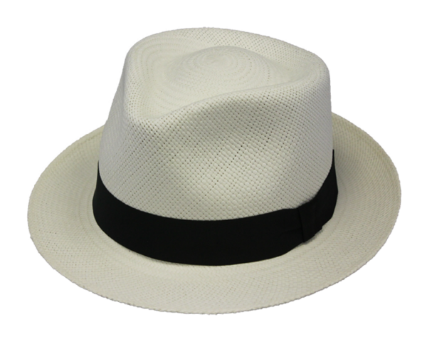 Henschel Panama Trilby Hat