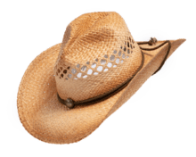 Henschel Western Australian Raffia Hat