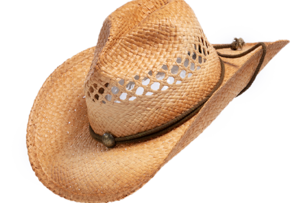 Henschel Western Australian Raffia Hat