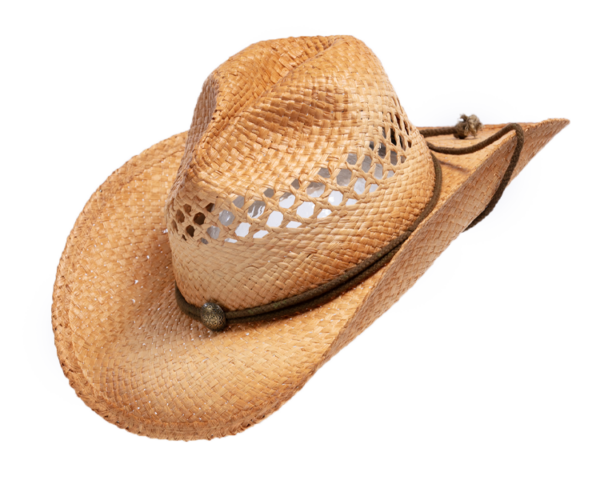 Henschel Western Australian Raffia Hat