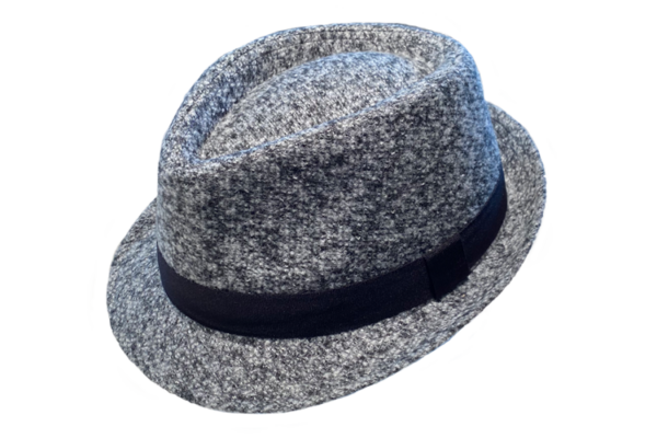 Henschel Stingy Brim Fedora