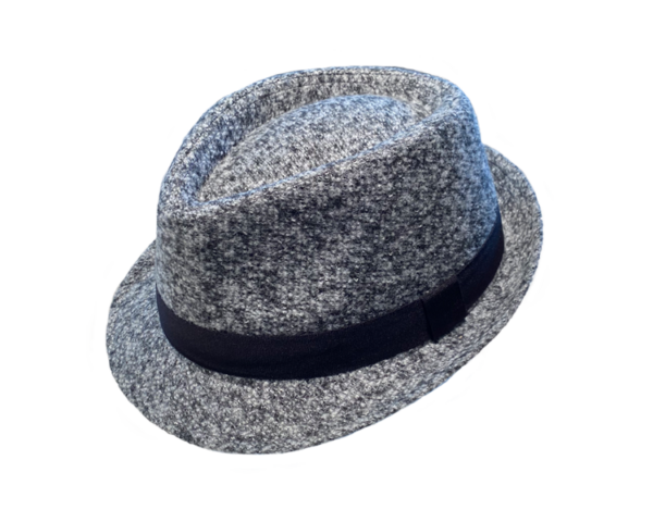 Henschel Stingy Brim Fedora