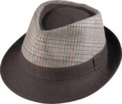 Plaid-patterned fedora with dark brim.