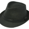 Henschel Black Fedora Hat