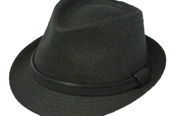 Henschel Black Fedora Hat