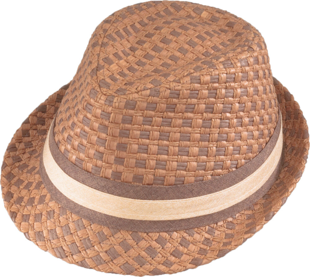 Alturay Summer Fedora