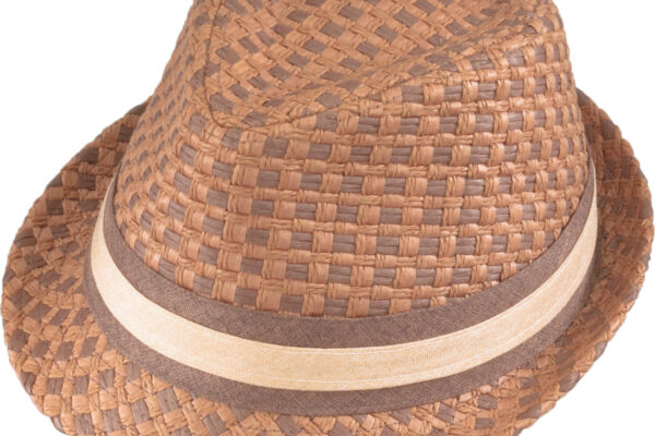 Henschel Paper Straw Fedora