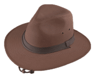 Brown wide-brimmed hat with black band.