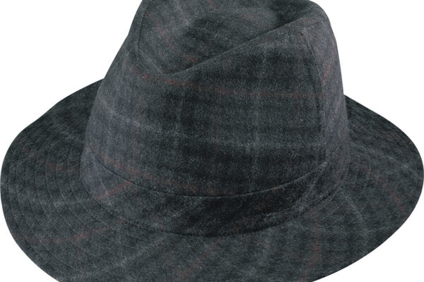 Henschel Big Brim Fedora