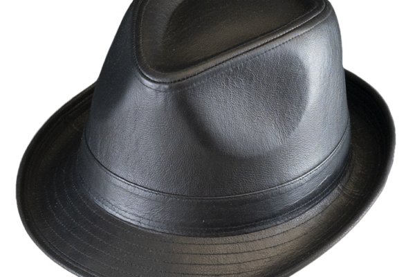 Henschel Leather Fedora Hat