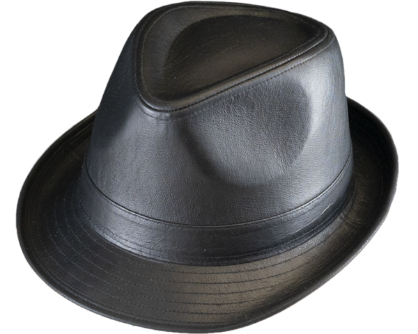 Henschel Leather Fedora Hat