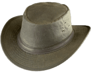 Olive green wide-brimmed hat with band.