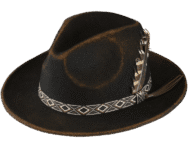 Black fedora with patterned band and feather.