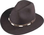 Brown fedora hat with decorative band.