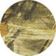 Realtree Max-4