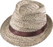 Brown banded fedora hat with textured pattern.