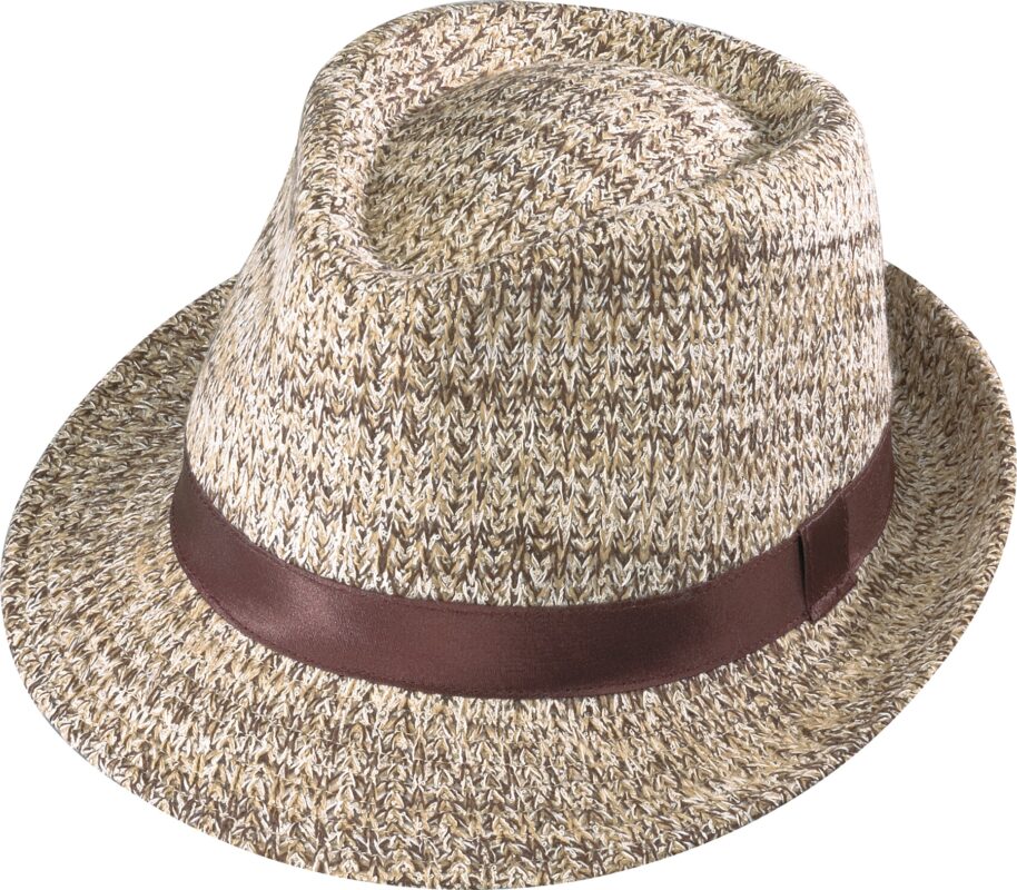 Brown banded fedora hat with textured pattern.
