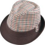 Plaid fedora hat with brown brim.