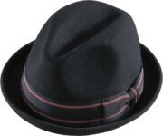 Black fedora hat with striped band.