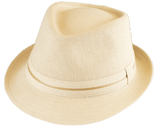 Trenton Fedora Hat