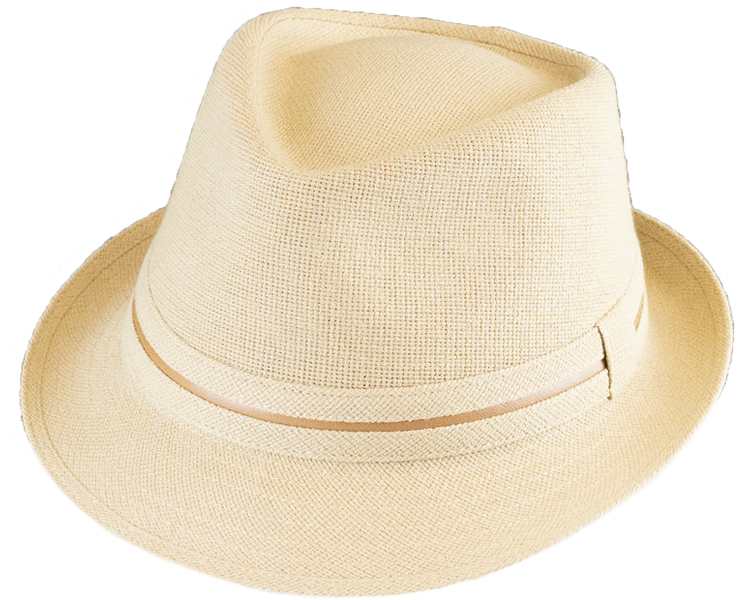 Trenton Fedora Hat