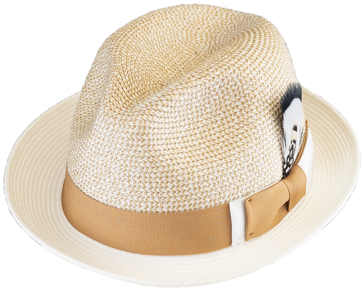 Pomaria Fedora Hat