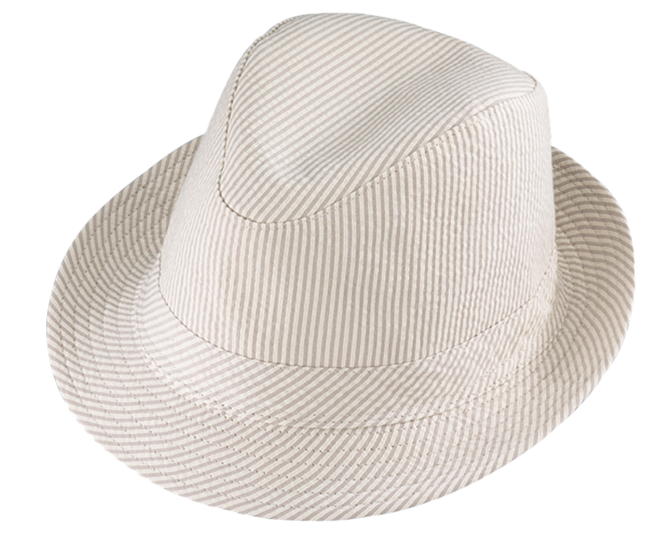 Galloway Fedora Hat