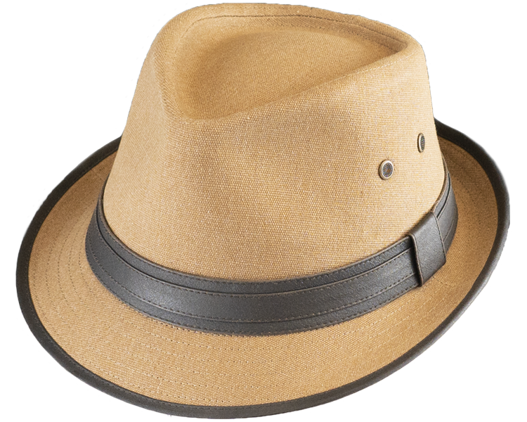 Dobson Fedora Hat