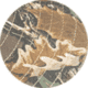 Realtree Advantage